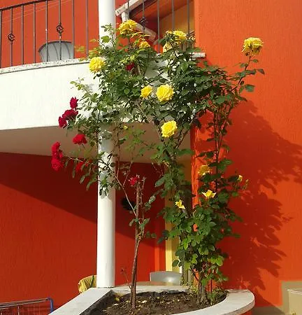 Дом отдыха Valentina Кранево