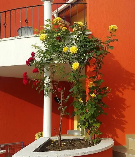 Casa vacanze Valentina Kranevo