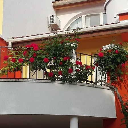 Valentina Кранево